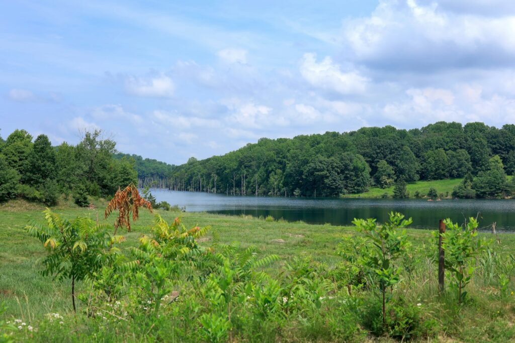 West Milford Limo & Airport Car Service - lake
